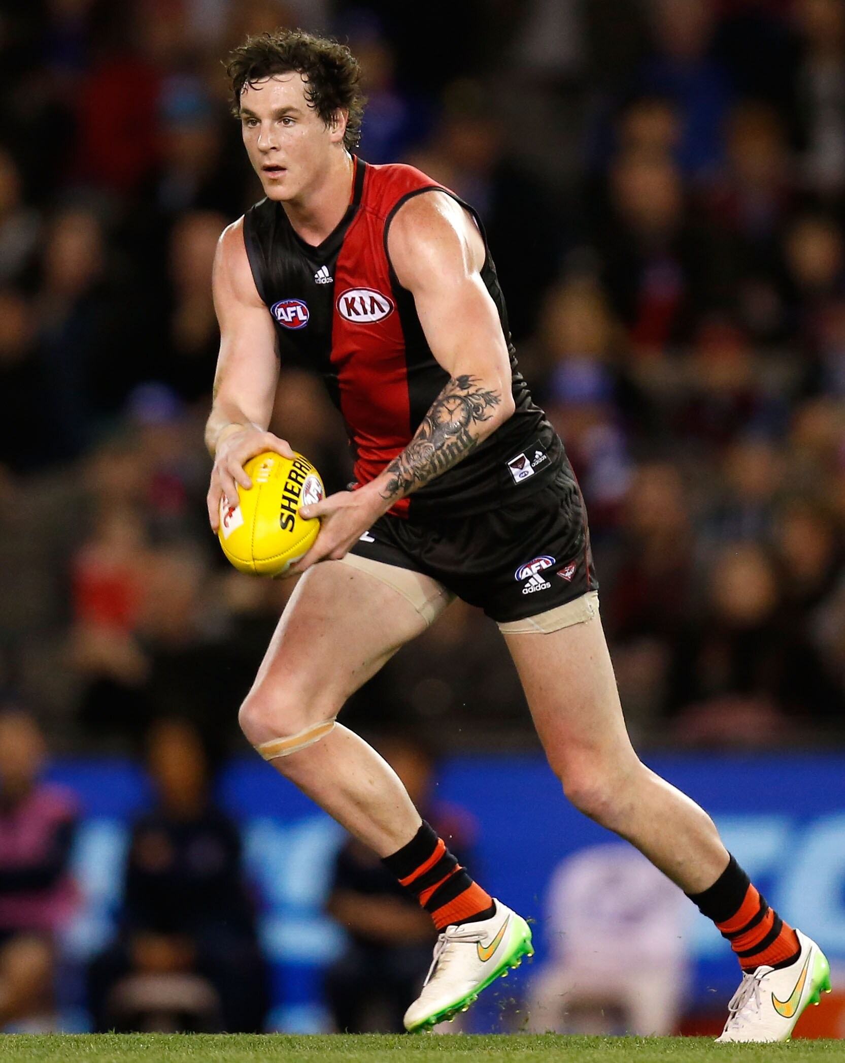 Roos throw hat in the ring for key Bomber Jake Carlisle